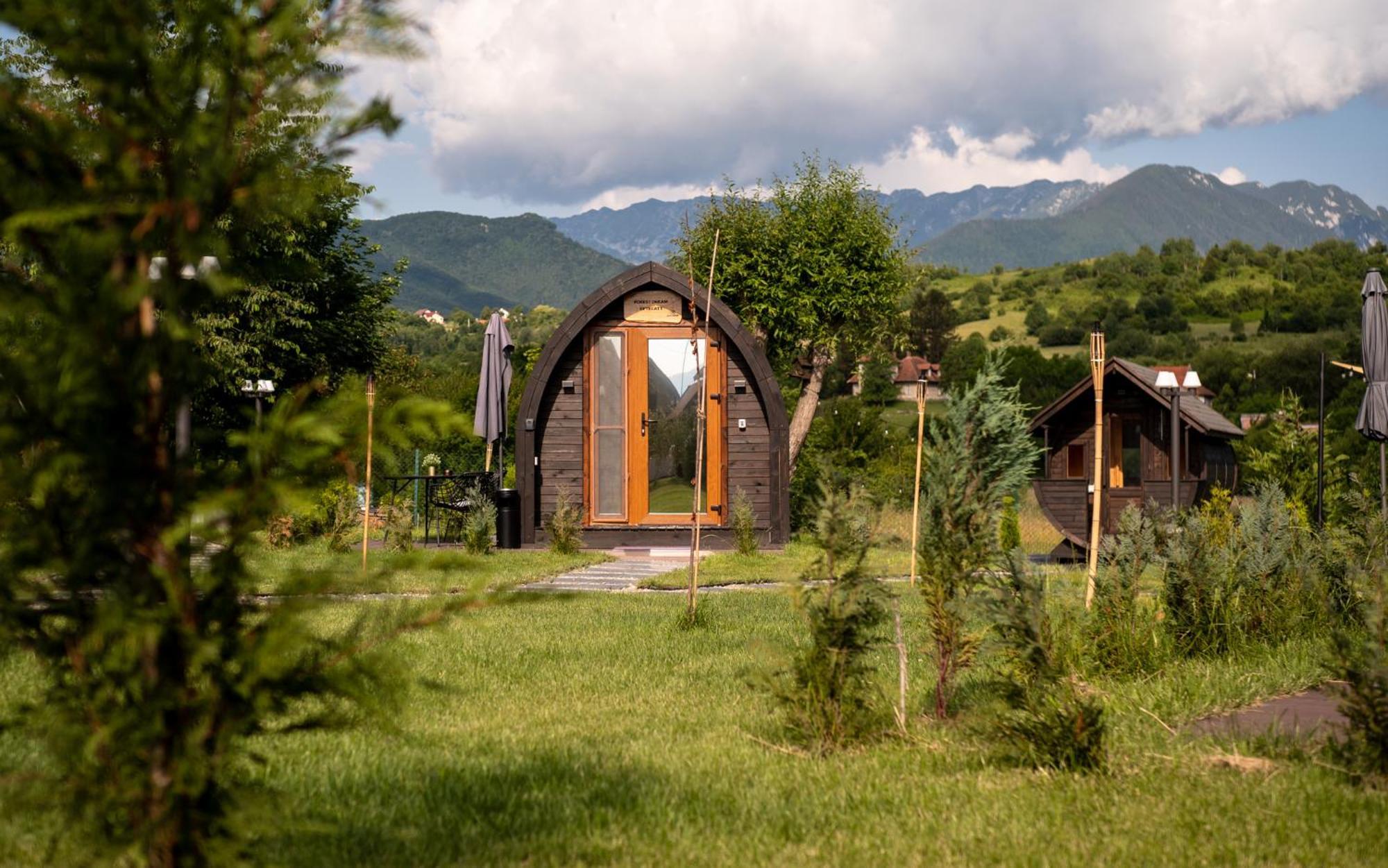 Glamp In Style Pods Resort Bran  Zewnętrze zdjęcie